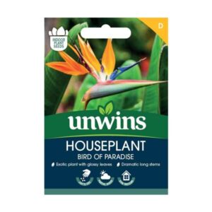 Unwins Houseplant Bird of Paradise