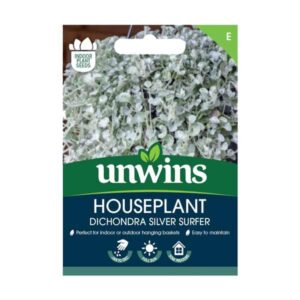 Unwins Houseplant Dichondra Silver Surfer