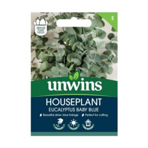 Unwins Houseplant Eucalyptus Baby Blue