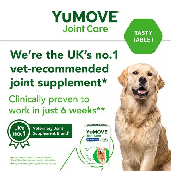 Yumove Joint Care for Senior Dogs 120 Pack 3 Yumove Joint Care for Senior Dogs 120 Pack - Image 3