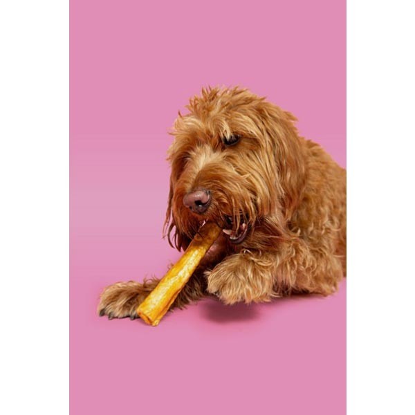 Pawtential Collagen Chicken Chew Large 2 Pawtential Collagen Chicken Chew Large - Image 2