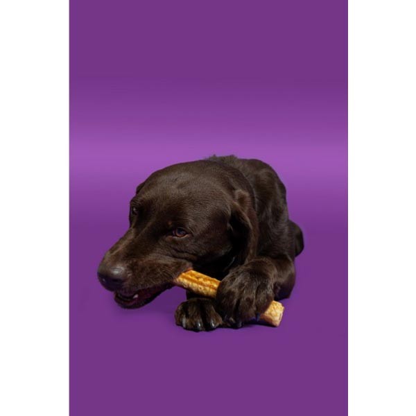 Pawtential Collagen Beef Chew Large 2 Pawtential Collagen Beef Chew Large - Image 2