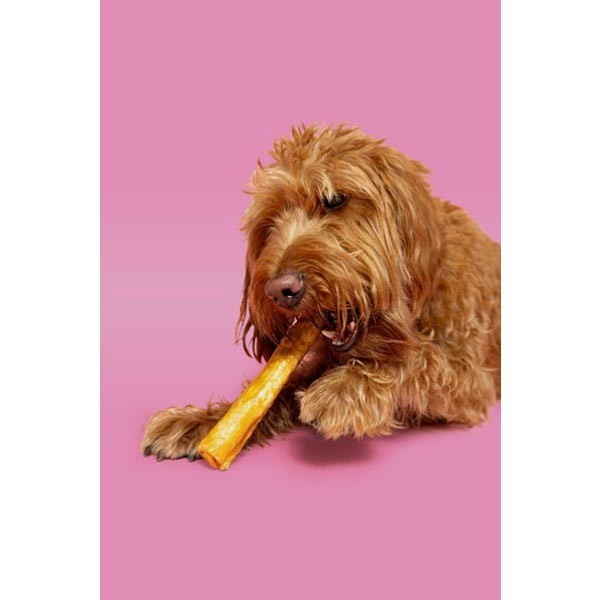Pawtential Collagen Peanut Butter Chew Large 2 Pawtential Collagen Peanut Butter Chew Large - Image 2