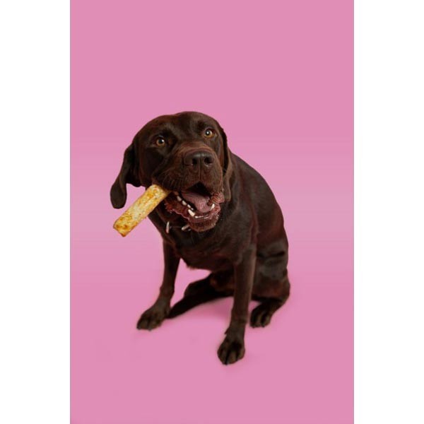 Pawtential Collagen Salmon Chew Large 2 Pawtential Collagen Salmon Chew Large - Image 2