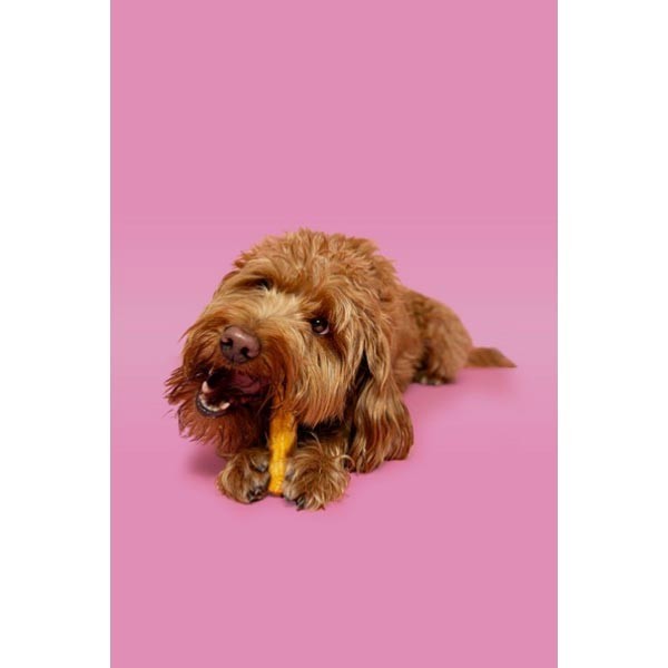 Pawtential Collagen Peanut Butter Chew Medium 2 Pawtential Collagen Peanut Butter Chew Medium - Image 2