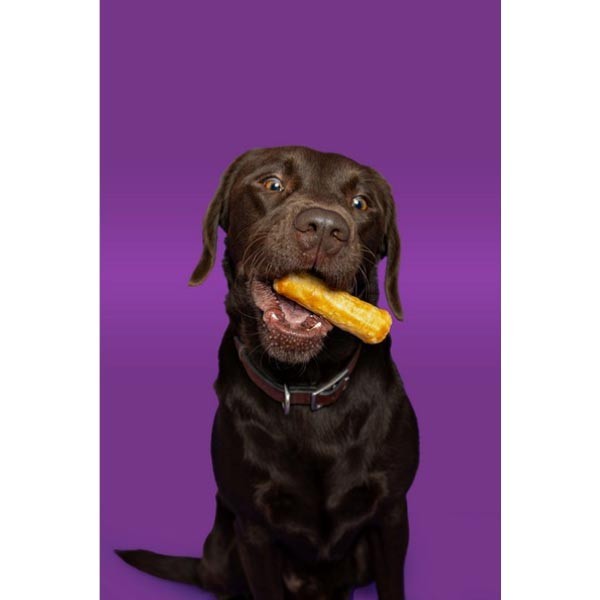 Pawtential Collagen Salmon Chew Medium 2 Pawtential Collagen Salmon Chew Medium - Image 2