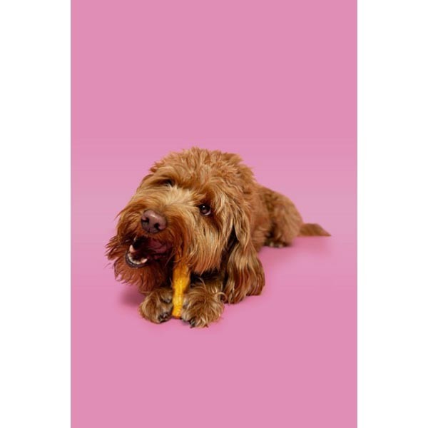 Pawtential Collagen Beef Chew Small 2 Pawtential Collagen Beef Chew Small - Image 2
