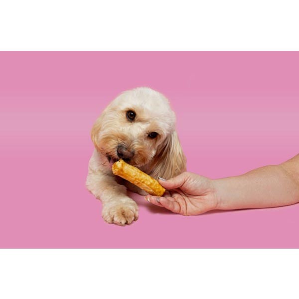 Pawtential Collagen Salmon Chew Small 2 Pawtential Collagen Salmon Chew Small - Image 2