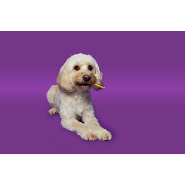Pawtential Collagen Beef Chew Sticks X-Small 6 Pack 2 Pawtential Collagen Beef Chew Sticks X-Small 6 Pack - Image 2