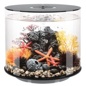 biOrb Tube 35 Litre Black Aquarium