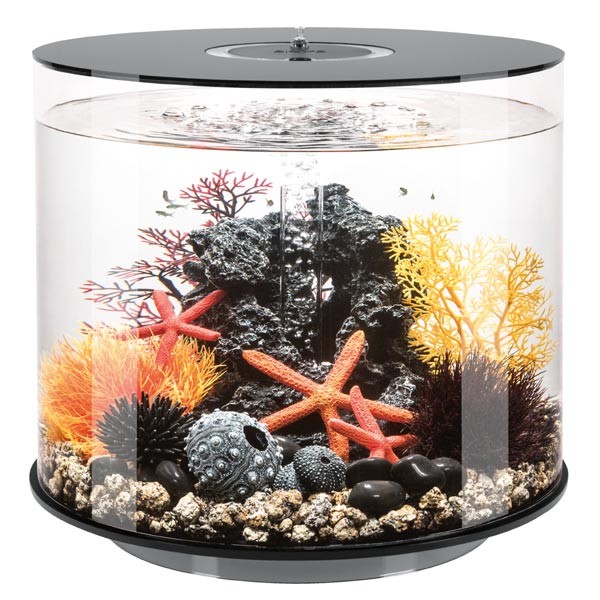 biOrb Tube 35 Litre Black Aquarium 1 biOrb Tube 35 Litre Black Aquarium