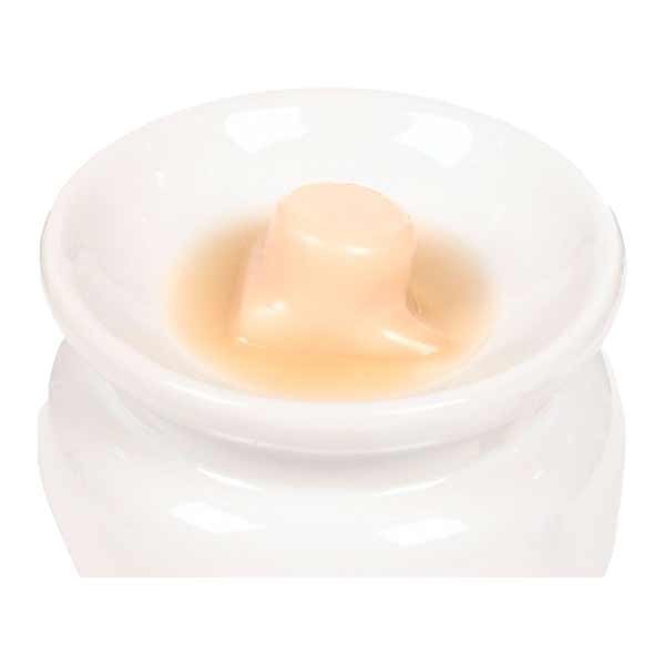 Eden Set of 6 Teakwood & Jasmine Wax Melts 3 Eden Set of 6 Teakwood & Jasmine Wax Melts - Image 3