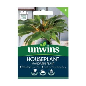 Unwins Houseplant Mandarin Plant
