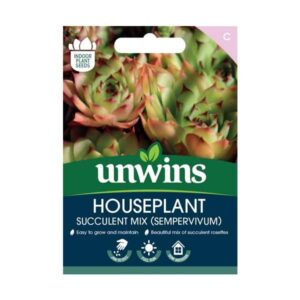 Unwins Houseplant Succulent Mix