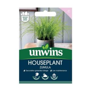 Unwins Houseplant Zumula