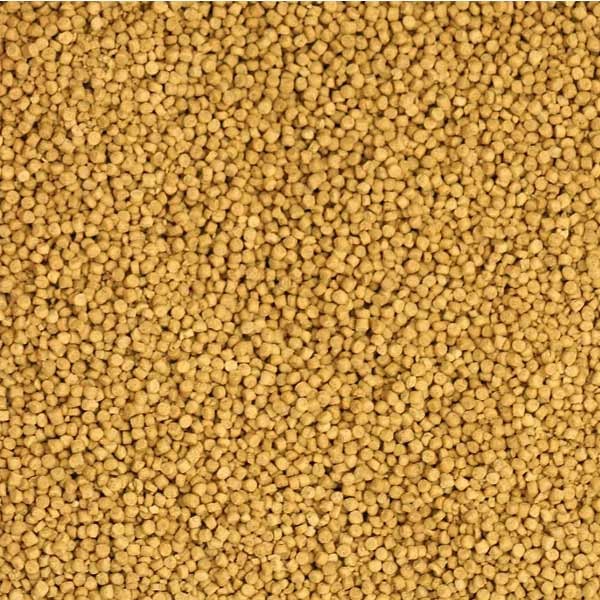 Harrison's Lifetime Super Fine Adult 1lb 2 Harrison's Lifetime Super Fine Adult 1lb - Image 2