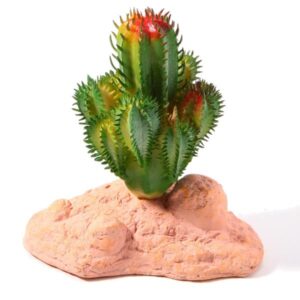 Betta Terra Cactus Plant Ornament 10cm