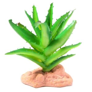 Betta Terra Succulent Plant Ornament 13cm