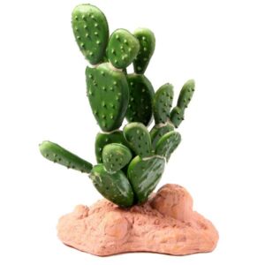 Betta Terra Cactus Plant Ornament 15cm