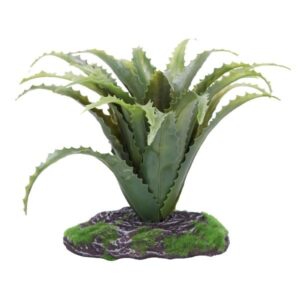 Betta Terra Aloe Vera Plant 19cm