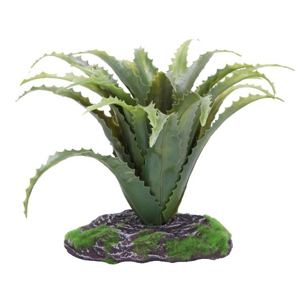 Betta Terra Aloe Vera Plant 19cm 1 Betta Terra Aloe Vera Plant 19cm