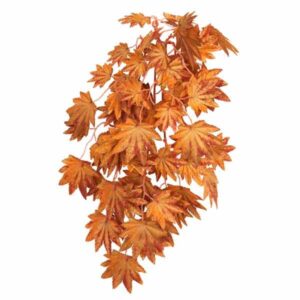 Betta Terra Orange Terrarium Vine Plant Ornament 37cm