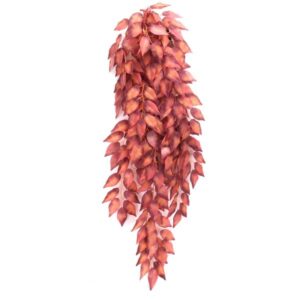 Betta Terra Red Terrarium Vine Plant Ornament 70cm