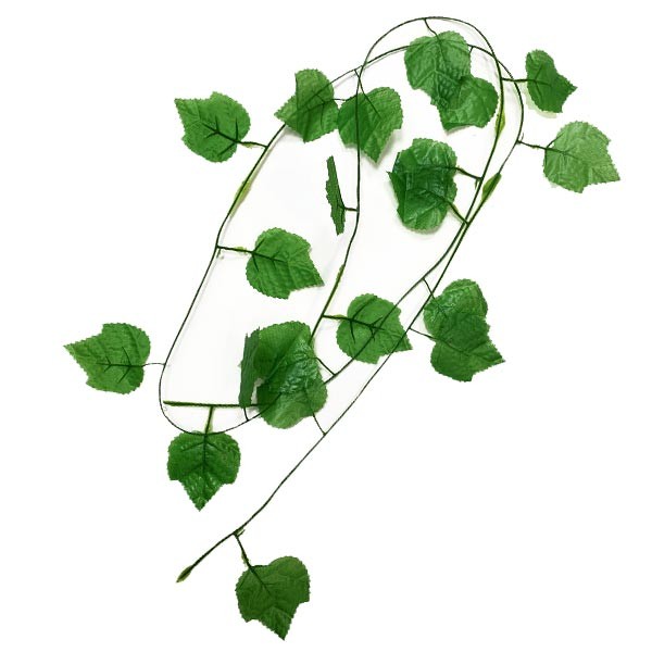 Betta Terra Light Green Ivy Vine Plant Ornament 230cm 1 Betta Terra Light Green Ivy Vine Plant Ornament 230cm