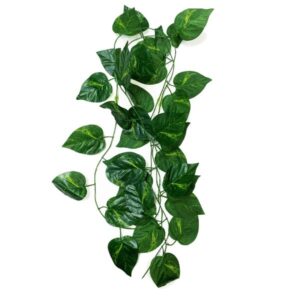 Betta Terra Green Ivy Vine Plant Ornament 230cm