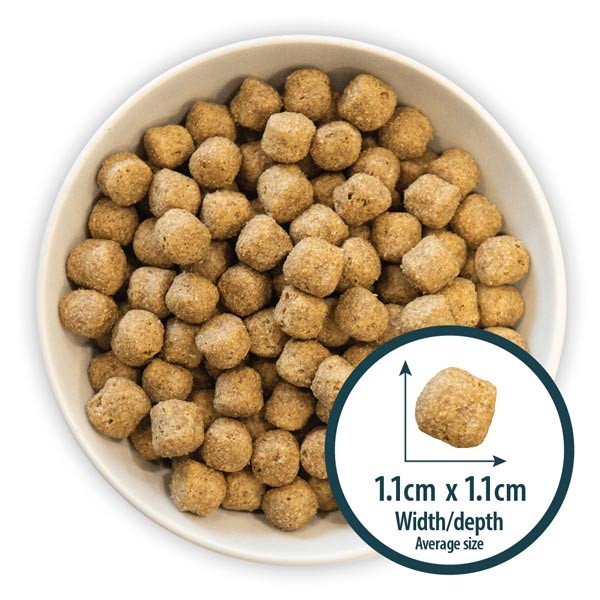 Burns Grain Free Turkey & Potato Adult 12kg Dry Dog Food 2 Burns Grain Free Turkey & Potato Adult 12kg Dry Dog Food - Image 2