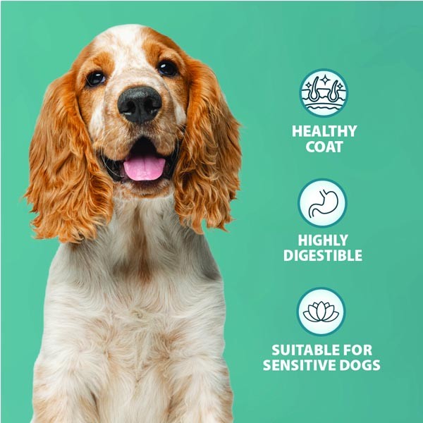 Burns Grain Free Turkey & Potato Adult 12kg Dry Dog Food 3 Burns Grain Free Turkey & Potato Adult 12kg Dry Dog Food - Image 3