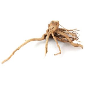 Aqua One Natural Assorted Azelea Root 50-60cm