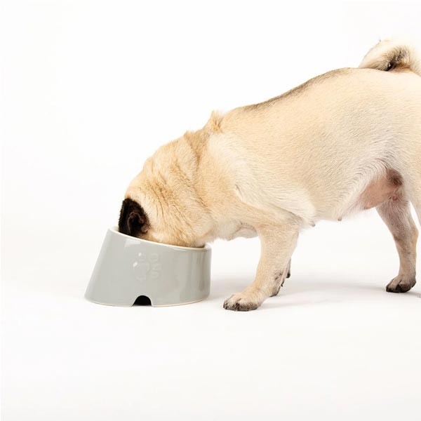 Scruffs Classic Flat Faced Dog Bowl Grey 18cm 2 Scruffs Classic Flat Faced Dog Bowl Grey 18cm - Image 2
