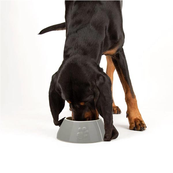 Scruffs Classic Long Eared Dog Bowl Grey 21cm 2 Scruffs Classic Long Eared Dog Bowl Grey 21cm - Image 2