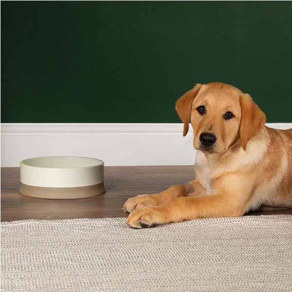 Scruffs Non Tip Pet Food & Water Bowl Cream 20cm 2 Scruffs Non Tip Pet Food & Water Bowl Cream 20cm - Image 2