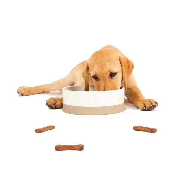 Scruffs Non Tip Pet Food & Water Bowl Cream 20cm 3 Scruffs Non Tip Pet Food & Water Bowl Cream 20cm - Image 3