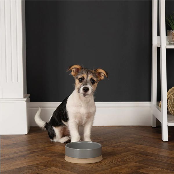 Scruffs Non Tip Pet Food & Water Bowl Grey 14cm 2 Scruffs Non Tip Pet Food & Water Bowl Grey 14cm - Image 2