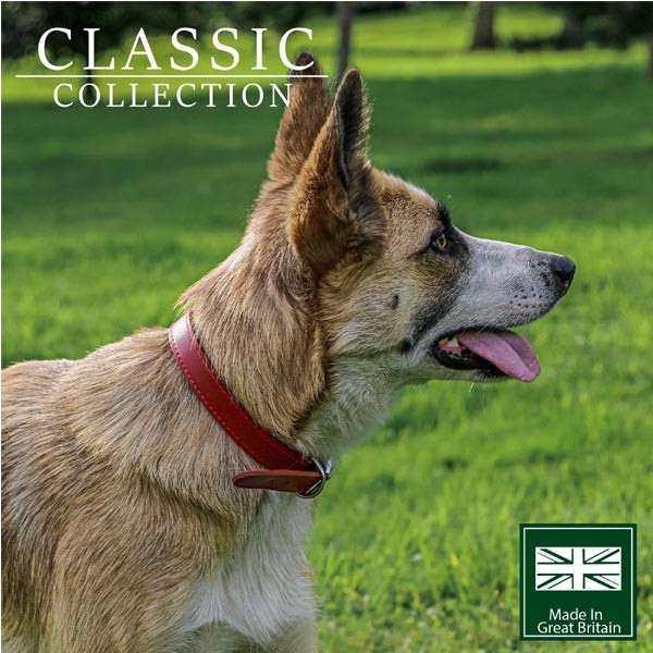 Ancol Classic Leather Collar Red Size 1 4 Ancol Classic Leather Collar Red Size 1 - Image 4