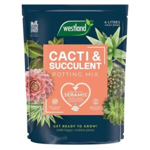 Westland Cacti & Succulent Potting Mix 4 Litres