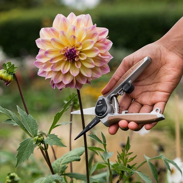 Kent & Stowe Garden Life Flower Snips 3 Kent & Stowe Garden Life Flower Snips - Image 3