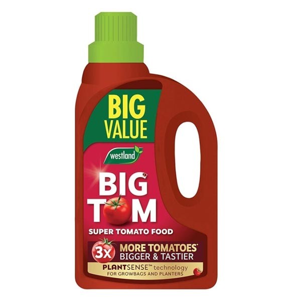 Westland Big Tom Super Tomato Food 2 Litres 1 Westland Big Tom Super Tomato Food 2 Litres