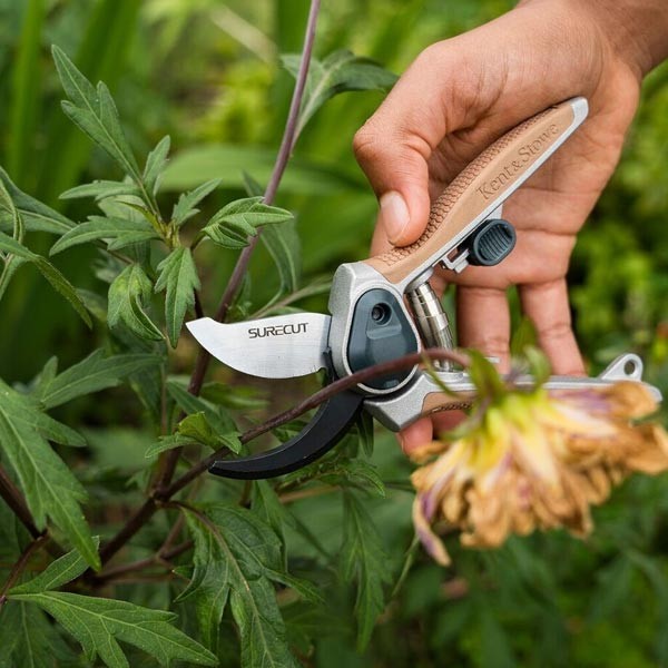 Kent & Stowe Garden Life All Purpose Mini Bypass Secateurs 2 Kent & Stowe Garden Life All Purpose Mini Bypass Secateurs - Image 2