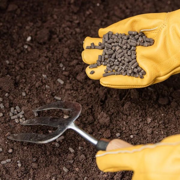 Westland Organic Chicken Manure Pellets 2.25kg + 25% Extra Free 2 Westland Organic Chicken Manure Pellets 2.25kg + 25% Extra Free - Image 2