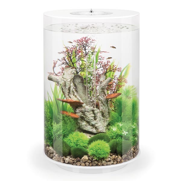 biOrb Tube 30 Litre White Aquarium 1 biOrb Tube 30 Litre White Aquarium