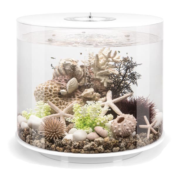 biOrb Tube 35 Litre White Aquarium