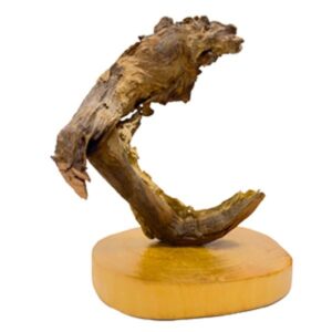 Hugo Kamishi Driftwood on Wooden Base 30-40cm