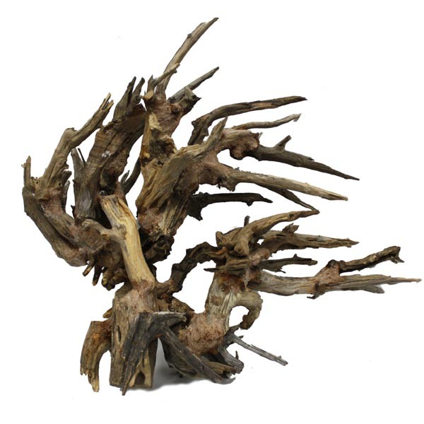 Hugo Kamishi Spear Finger Wood Extra Small 15x20x8cm 1 Hugo Kamishi Spear Finger Wood Extra Small 15x20x8cm