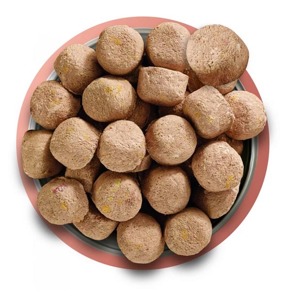 Natures Menu Complete Freeze Dried Beef Dog Food 120g 2 Natures Menu Complete Freeze Dried Beef Dog Food 120g - Image 2