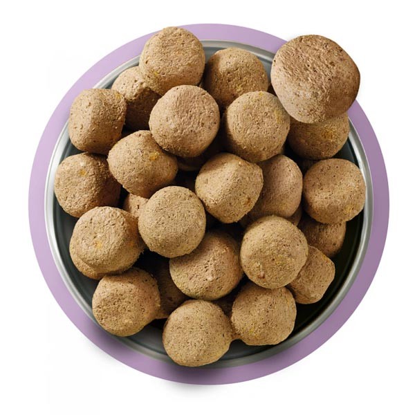 Natures Menu Complete Freeze Dried Turkey Dog Food 120g 2 Natures Menu Complete Freeze Dried Turkey Dog Food 120g - Image 2