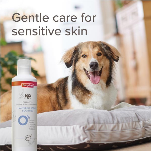 Beaphar Sensitive Skincare Soothing Shampoo 250ml 5 Beaphar Sensitive Skincare Soothing Shampoo 250ml - Image 5